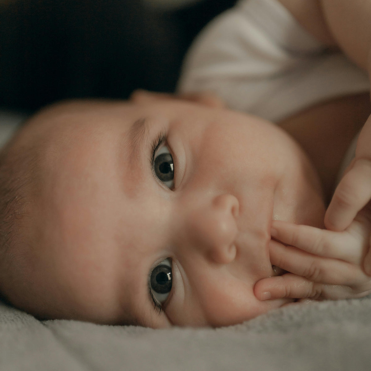 Organic, Grass-Fed Tallow Baby Balm